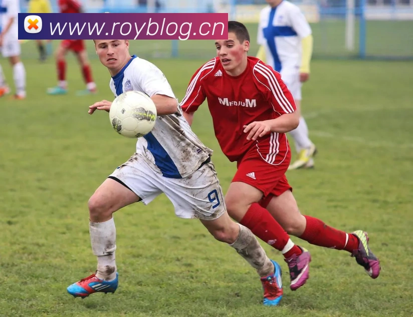 leyu乐鱼官方在线登录服务体系